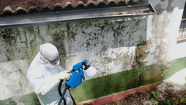 Top rated local Mold Cleanup specialists in Port Royal, PA